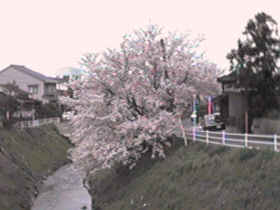 �V�_�엧��