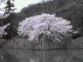 �v������