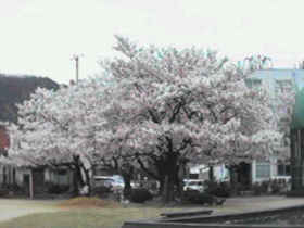 �^��������