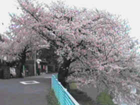 �ܐ�@����